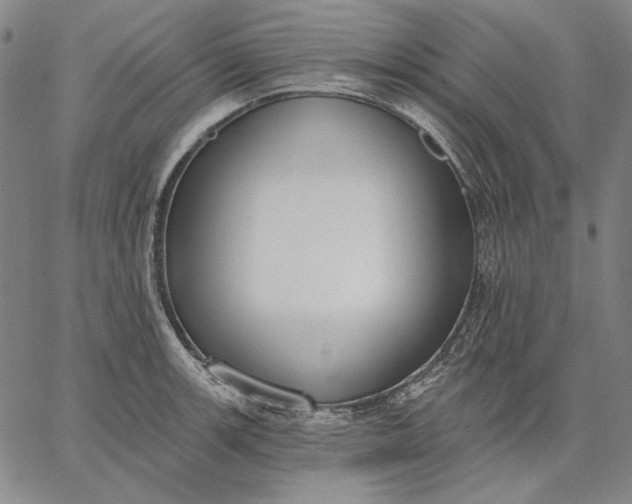 X0000067331139200604131654