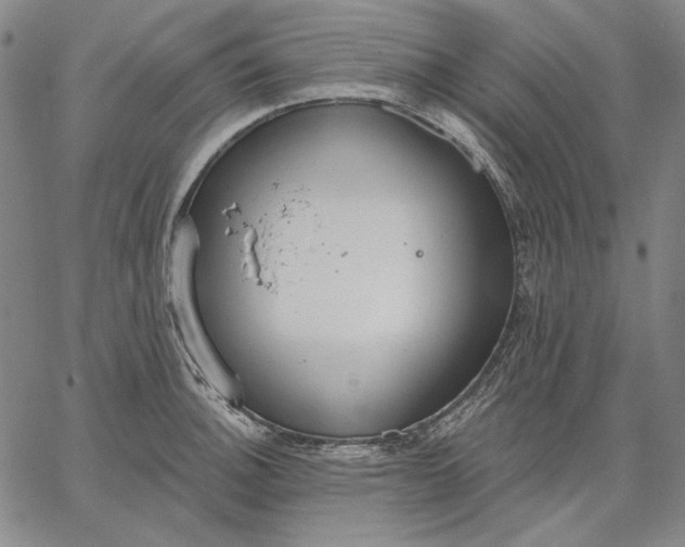 X0000067331140200604131654