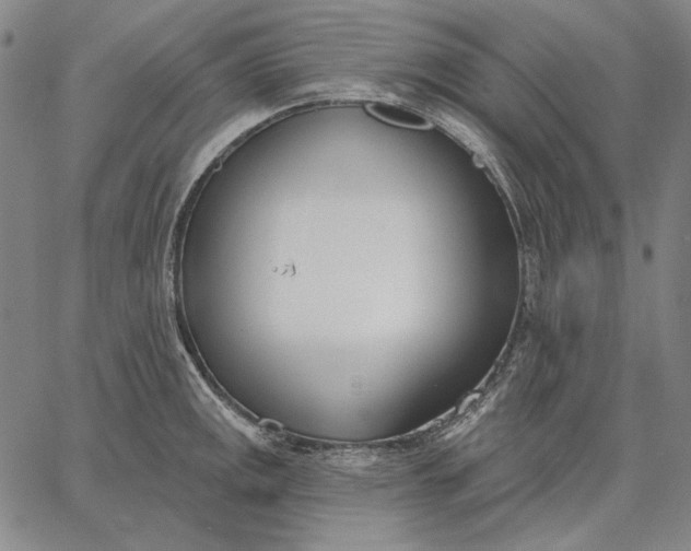 X0000067331141200604131654