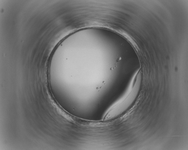 X0000067331142200604131654