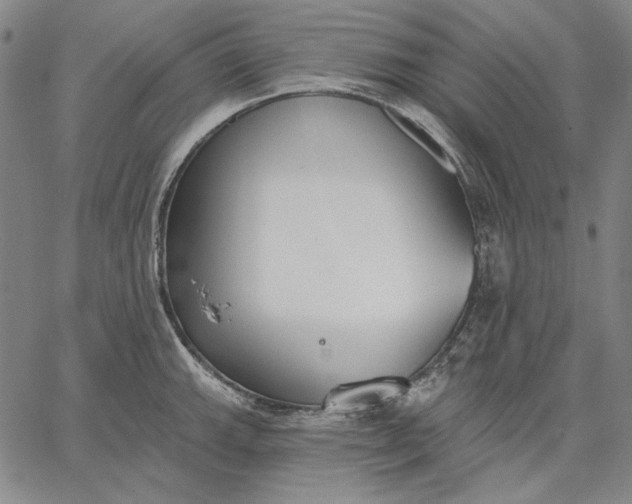 X0000067331143200604131654