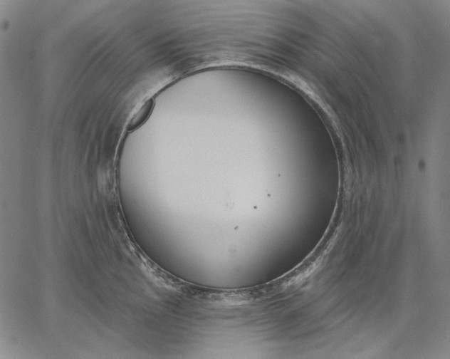 X0000067331145200604131654