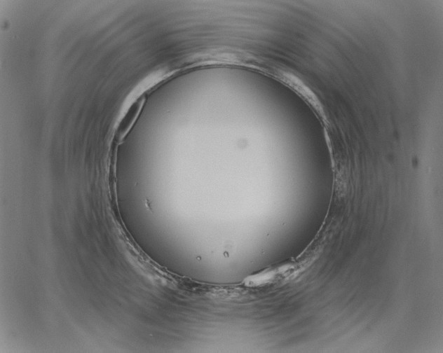 X0000067331146200604131654