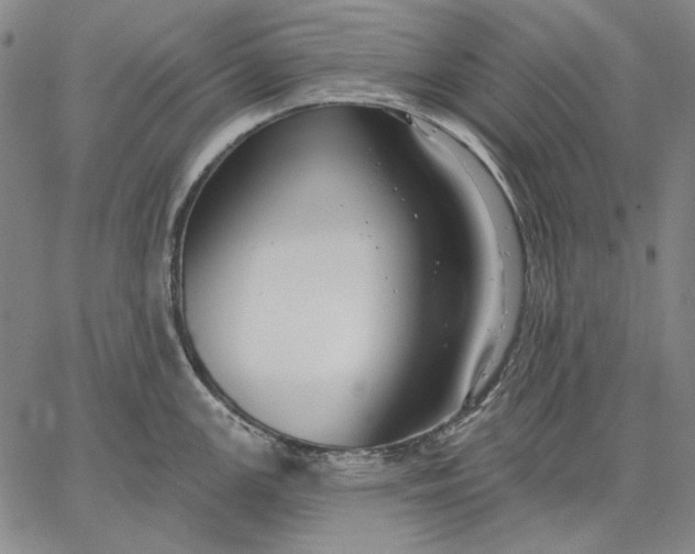 X0000067331147200604131654