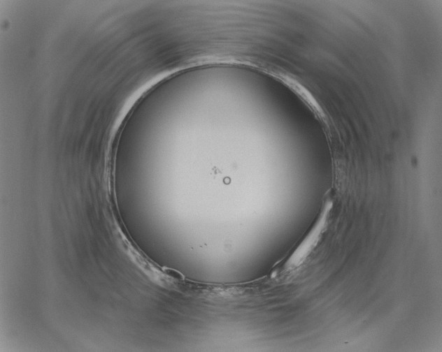 X0000067331148200604131654