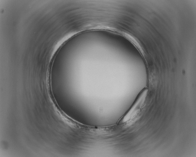 X0000067331149200604131654