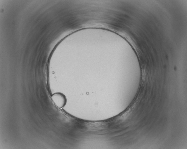 X0000067331150200604131654