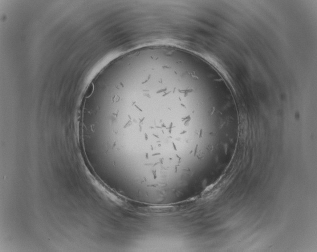 X0000067331151200604131654