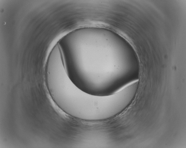 X0000067331152200604131654