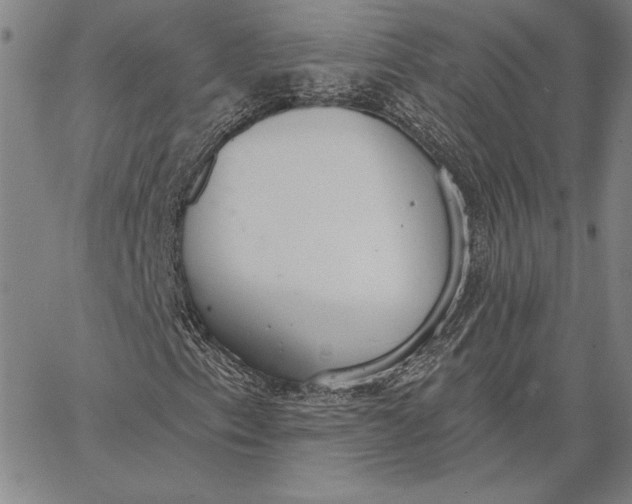 X0000067331153200604131653