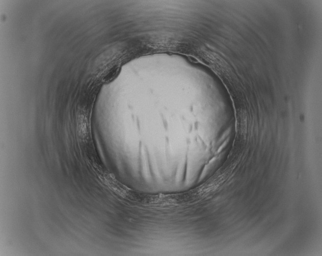 X0000067331154200604131653