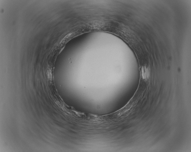 X0000067331155200604131653