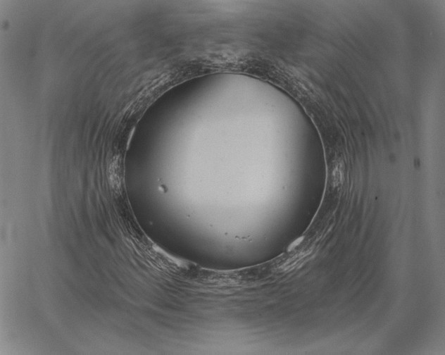 X0000067331156200604131653