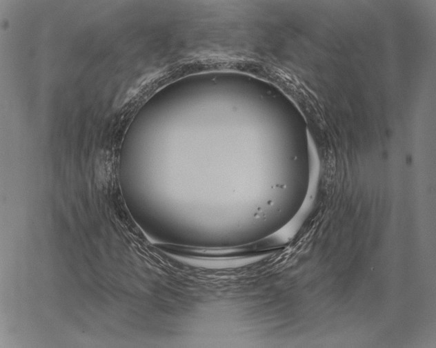 X0000067331157200604131653