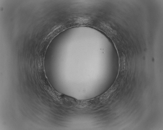 X0000067331158200604131653