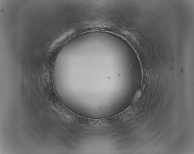 X0000067331159200604131653