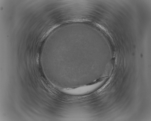 X0000067331161200604131653