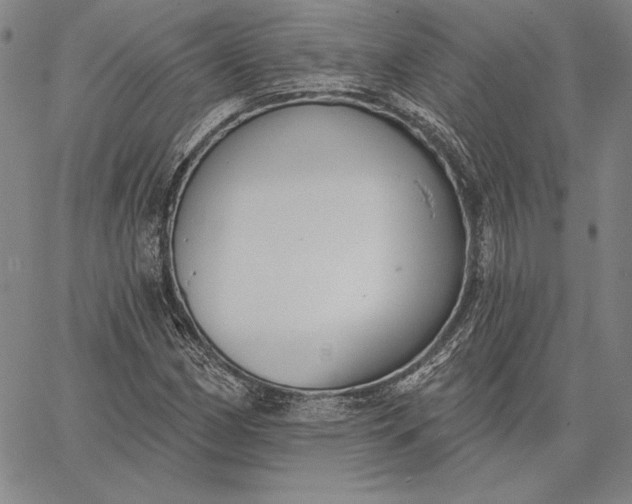 X0000067331162200604131653