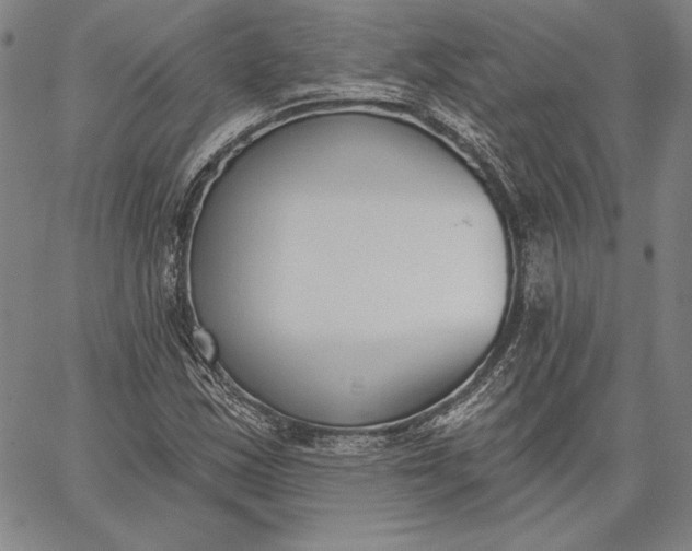 X0000067331163200604131653