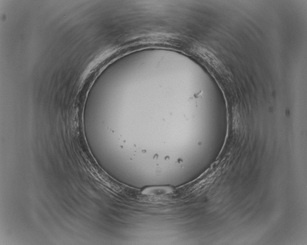 X0000067331164200604131653