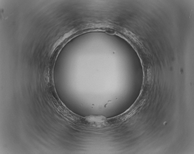 X0000067331165200604131653