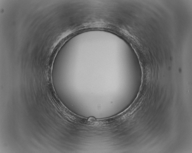 X0000067331166200604131653