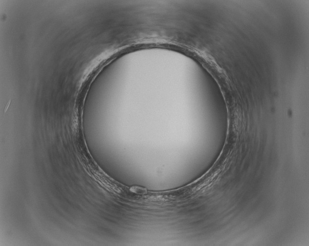 X0000067331167200604131653