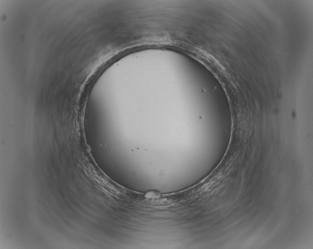 X0000067331168200604131653