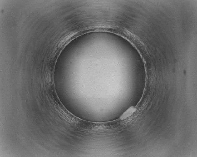 X0000067331169200604131653