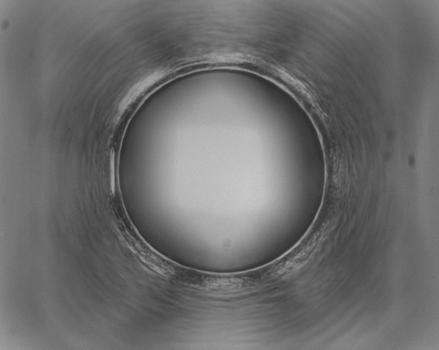 X0000067331171200604131653