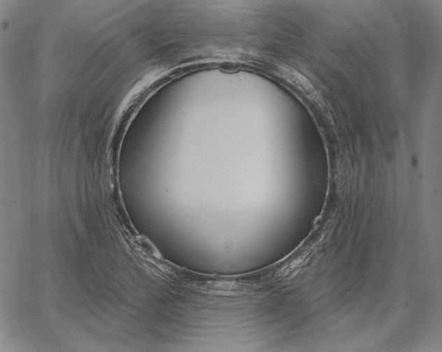 X0000067331172200604131653