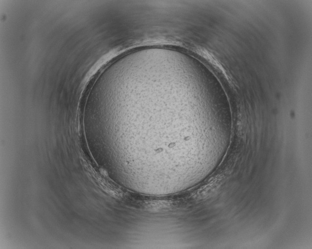 X0000067331173200604131653