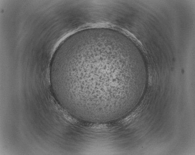 X0000067331174200604131653