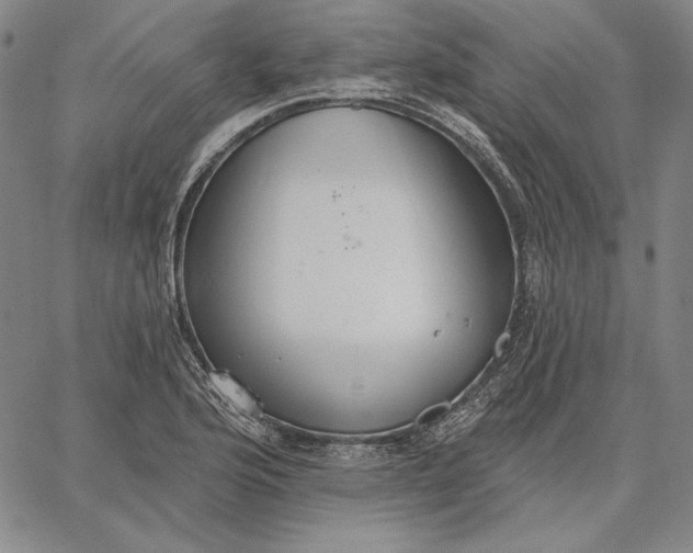 X0000067331176200604131653