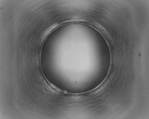 X0000067331177200604131653