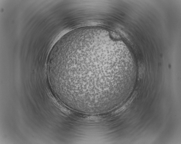 X0000067331178200604131653