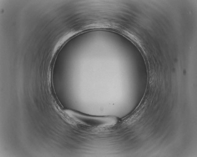 X0000067331179200604131653