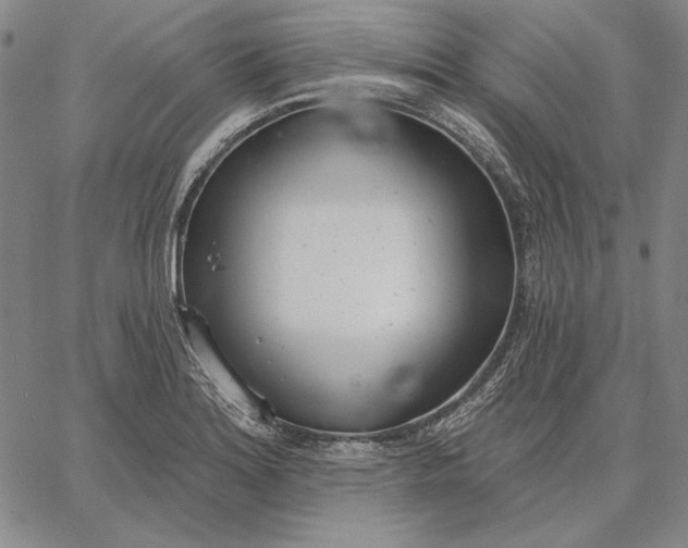 X0000067331180200604131653