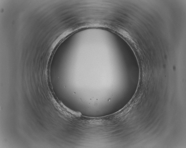 X0000067331181200604131653