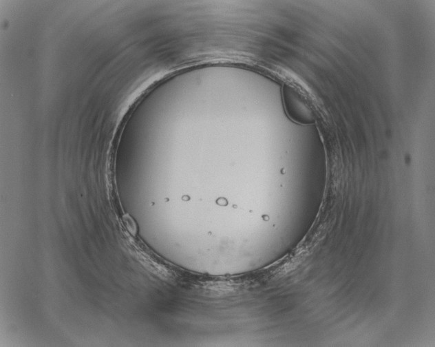 X0000067331182200604131653