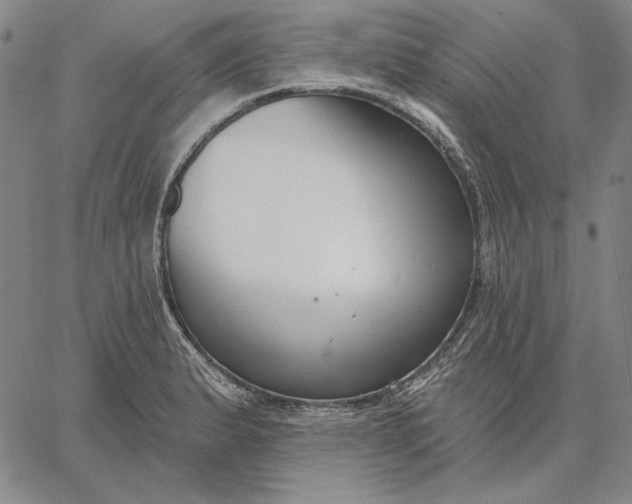 X0000067331183200604131653