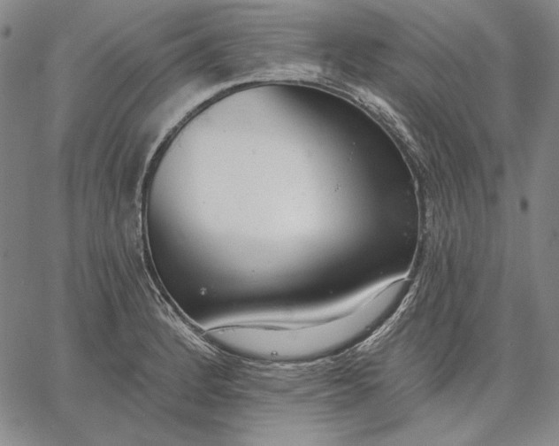 X0000067331184200604131653