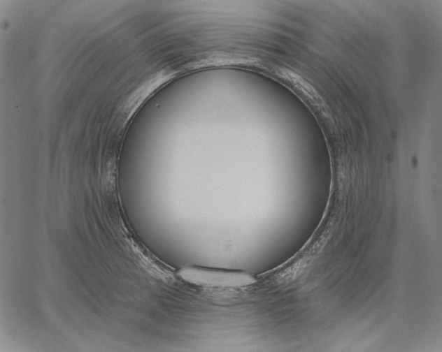 X0000067331185200604131653