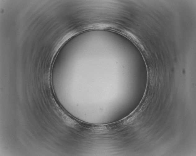 X0000067331186200604131653