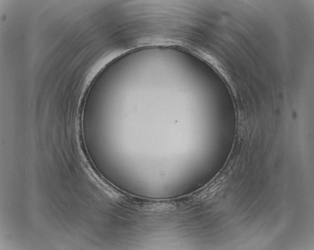 X0000067331187200604131653