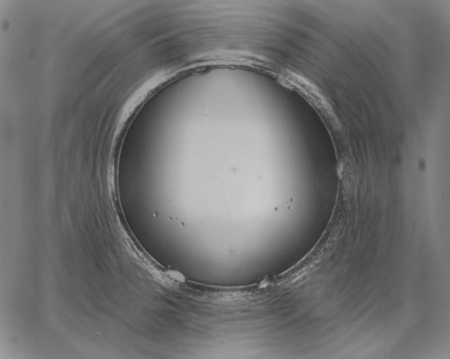 X0000067331188200604131653