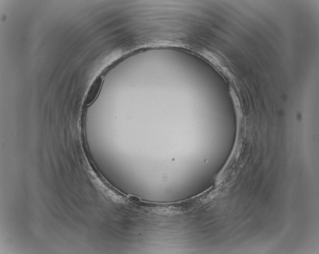 X0000067331189200604131653