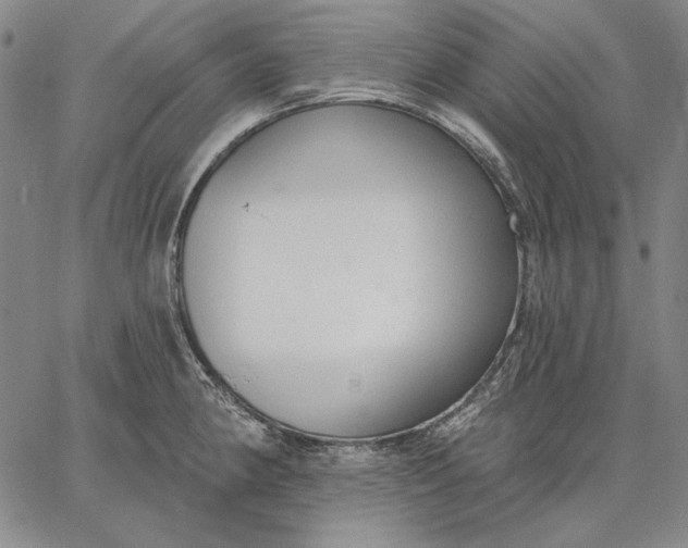 X0000067331190200604131653