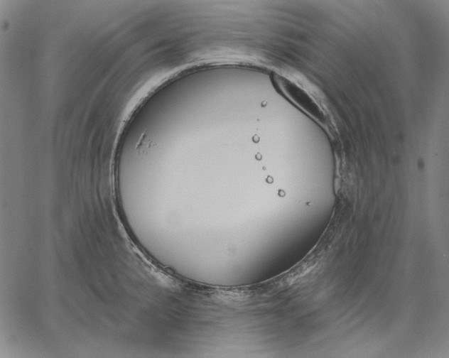 X0000067331191200604131653