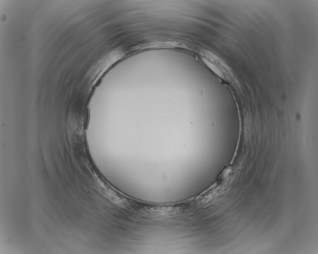 X0000067331193200604131653